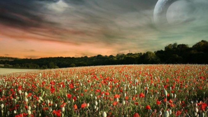 KVM显示器有哪些？